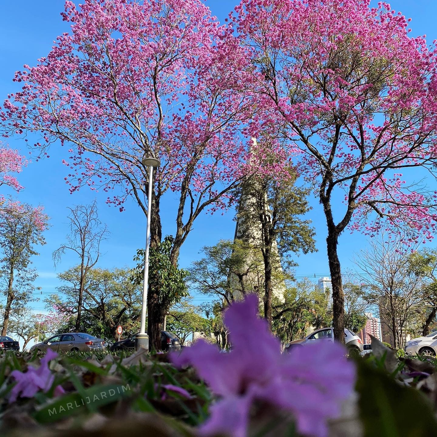 Terça-feira ensolarada e com altas temperaturas em Maringá, indica Simepar