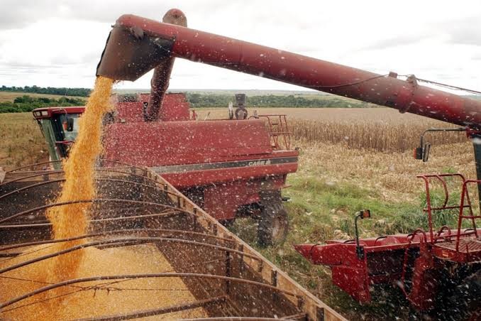 Produção de grãos do Brasil pode aumentar ainda mais com recuperação de áreas degradadas