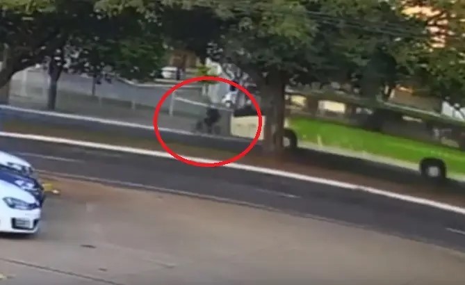Vídeo mostra atropelamento de venezuelano que morreu em Maringá; servente tinha planos de trazer a família