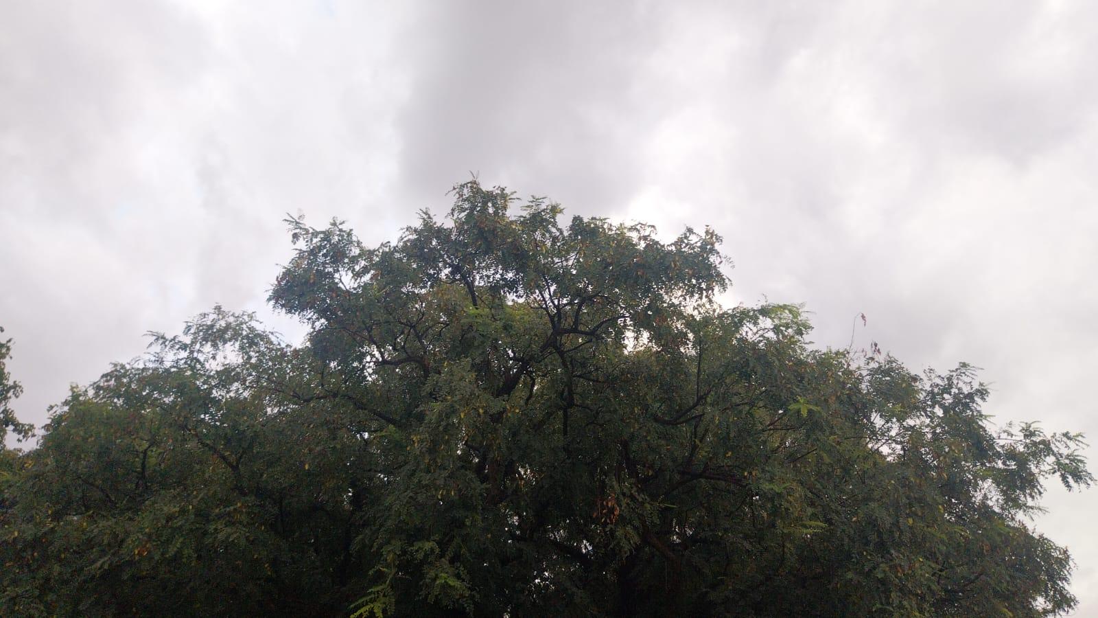 Domingo (13) de céu parcialmente nublado e com previsão de chuva