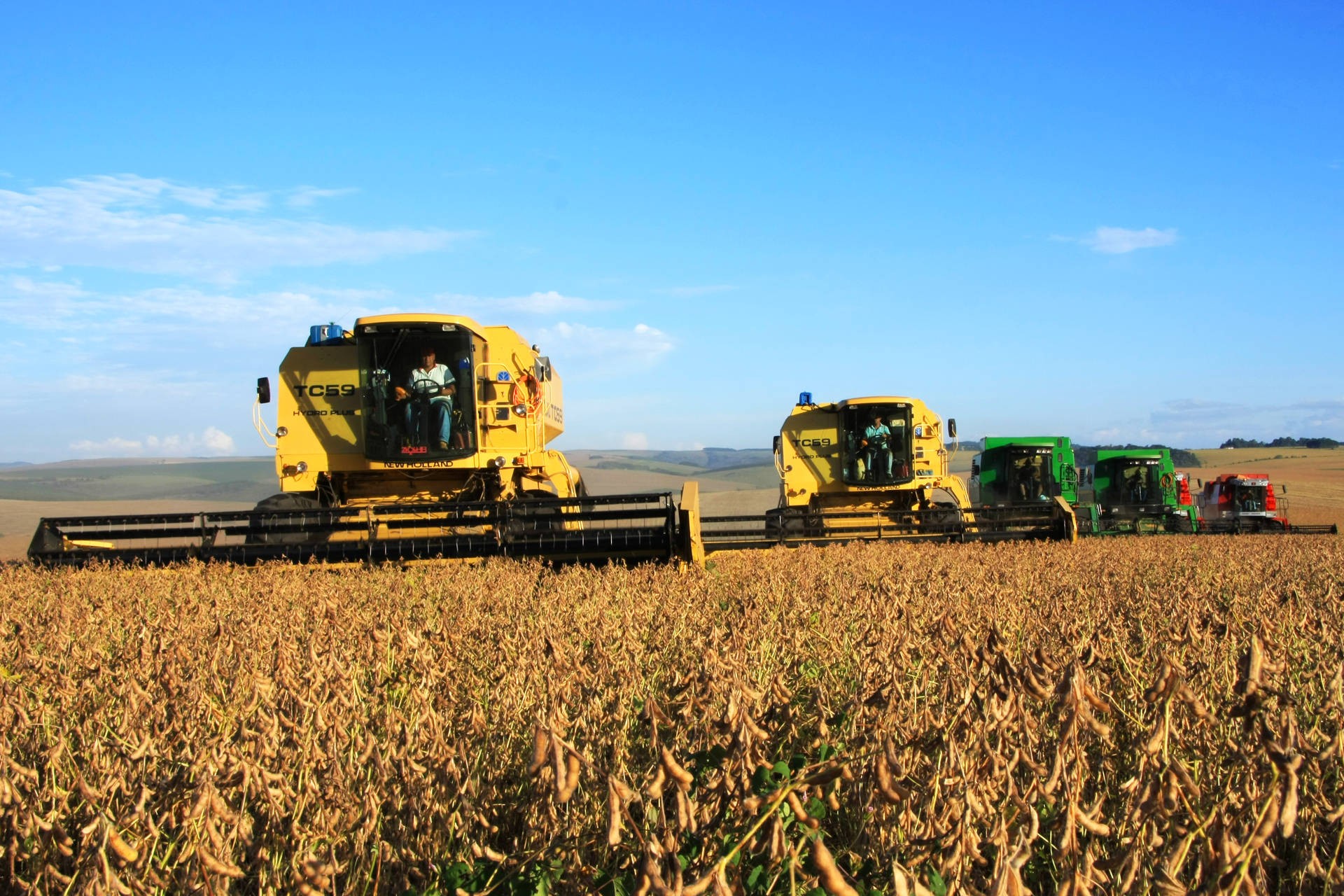 Soja custa R$ 74 a saca em Maringá