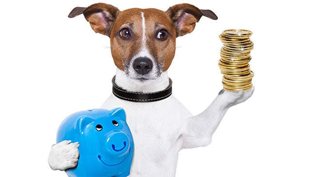 O promissor mercado pet é o assunto do programa