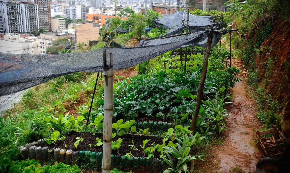 Hortas comunitárias de Maringá voltam a atender o público