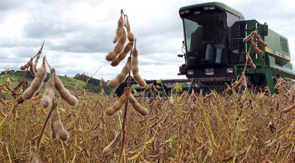 Soja custa R$ 69 a saca em Maringá