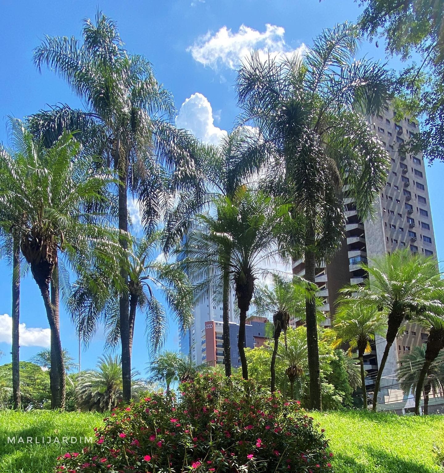 Calor segue intenso em Maringá nesta terça-feira (07)
