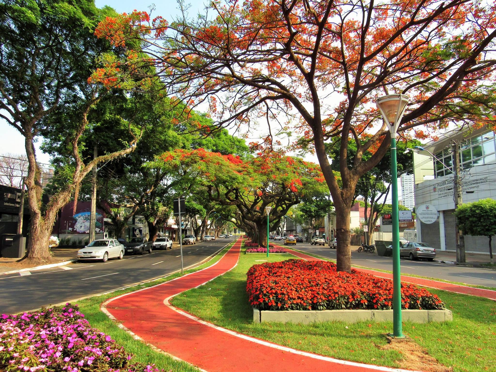Maringá terá sexta-feira (23) de sol e fim de semana sem chuvas; veja previsão