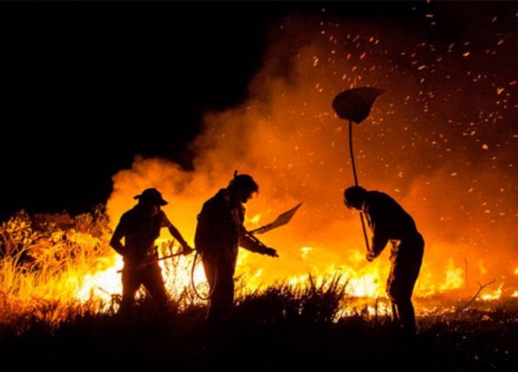 Decreto que suspende queimadas atinge regiões agrícolas de Maringá