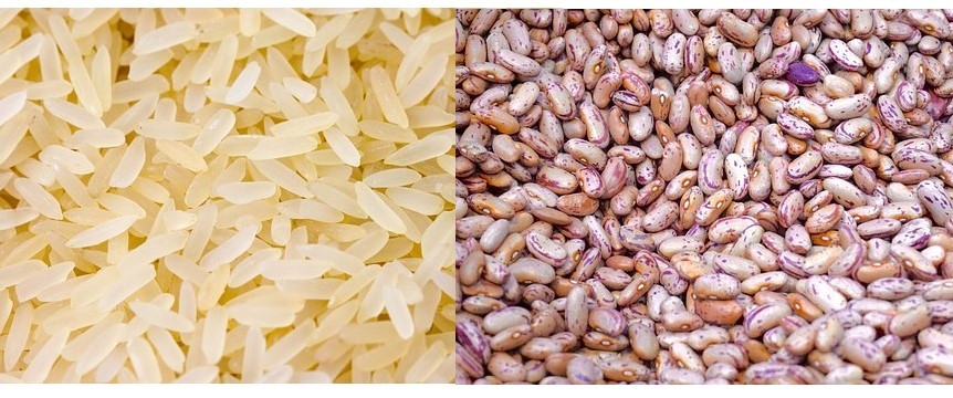 Arroz e feijão têm o menor custo dos últimos meses