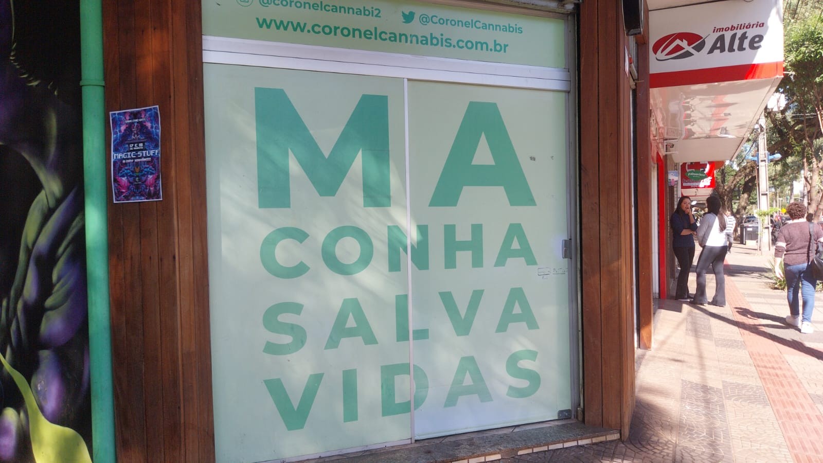 Maconha: o que muda com a descriminalização do porte da droga?