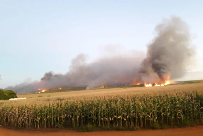 Usina de açúcar registra mais de 100 incêndios ambientais criminosos
