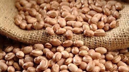 Feijão carioca custa R$ 240 a saca na região de Umuarama