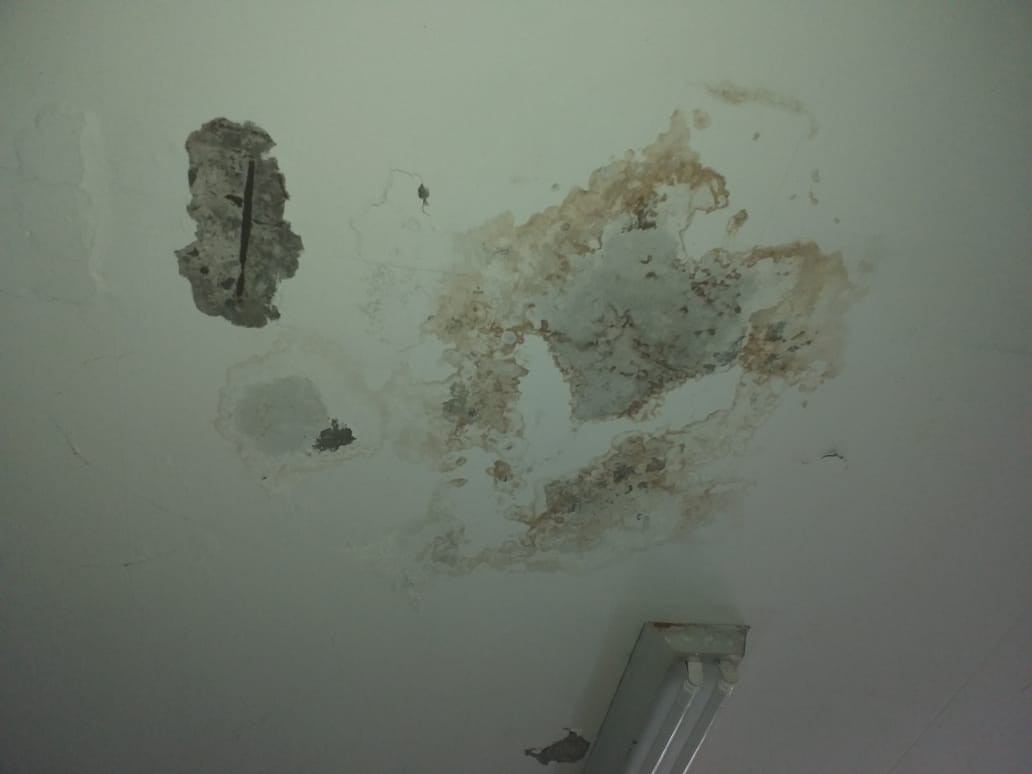 Ex-alunos se unem para reformar bloco de Direito