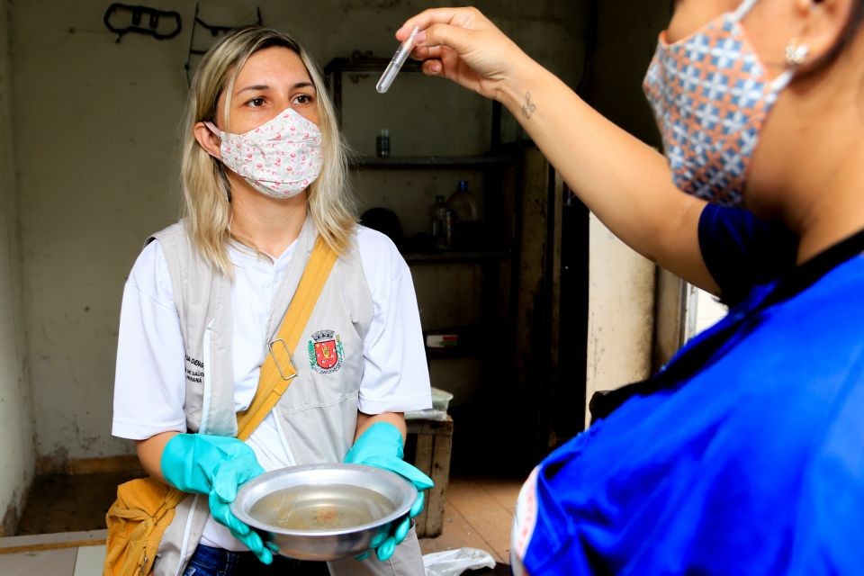 Maringá chega a 67 casos confirmados de dengue no período epidemiológico
