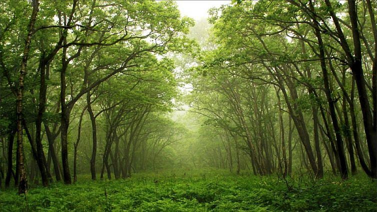“A vida precisa ter propósito e fazer sentido”