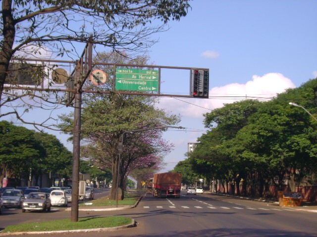 Índices de acidentes, mortes e feridos caem na Avenida Colombo