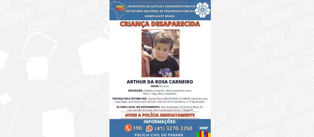 Buscas por menino desaparecido em Tibagi chegam ao quinto dia