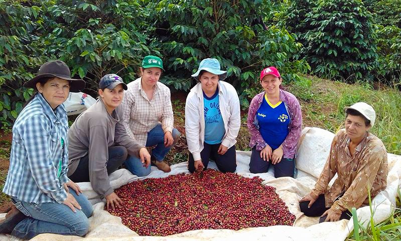 Plano Agro + Mulher incentiva a participação feminina em atividades agropecuárias