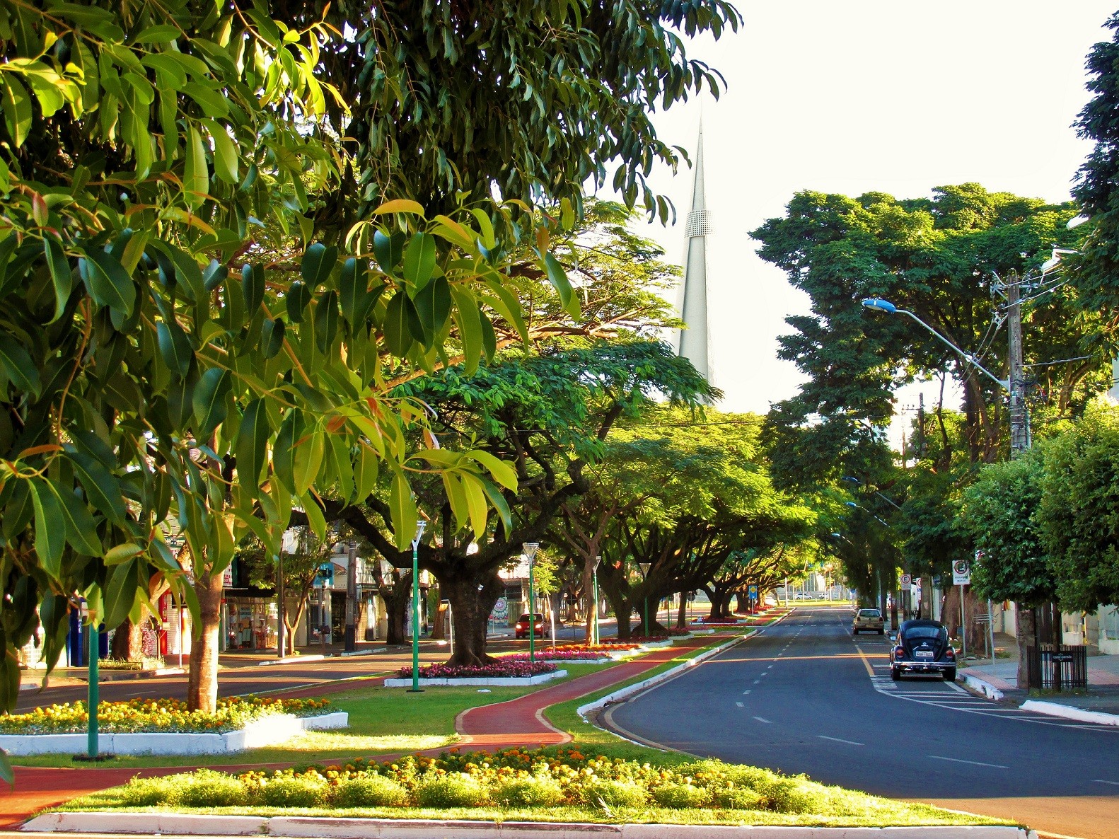 Sexta-feira (19) segue com frio no amanhecer em Maringá; veja previsão para o fim de semana