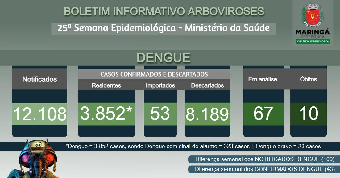 Divulgação.