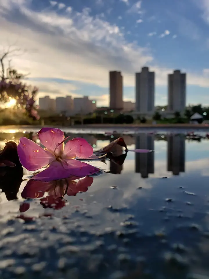 Semana começa com tempo quente e possibilidade de chuva em Maringá