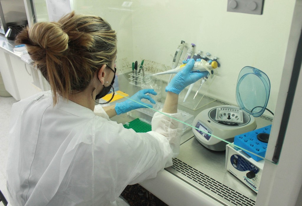 EUA sofrem com casos de gripe aviária