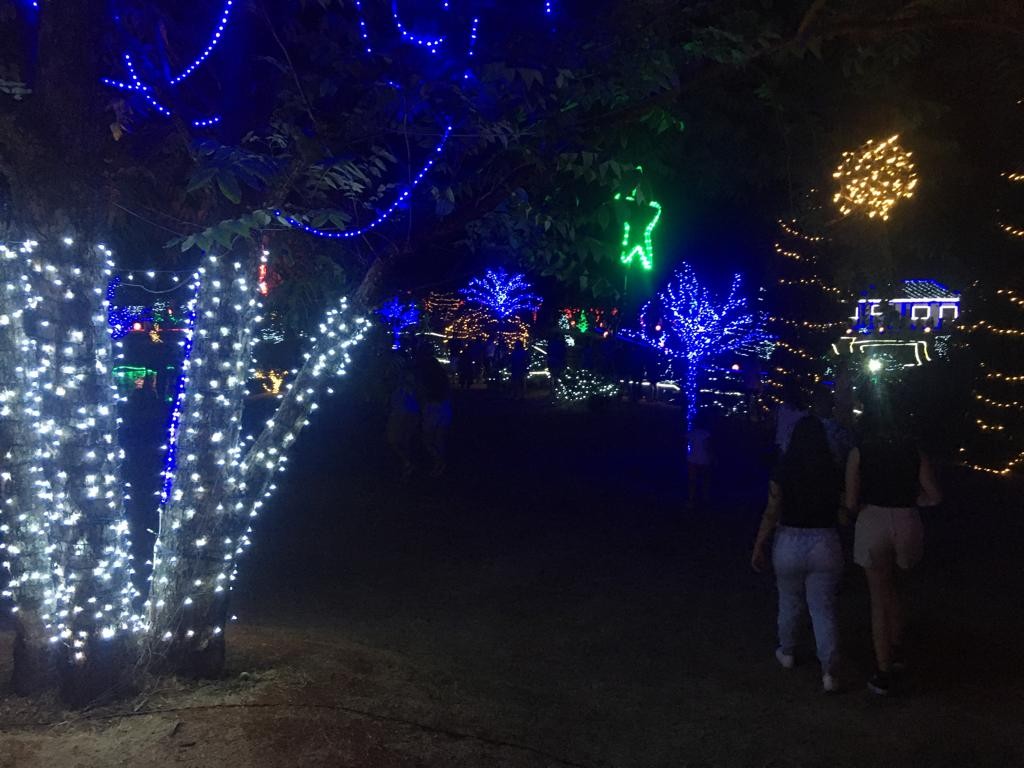 Iluminação do Parque do Japão atrai milhares de visitantes