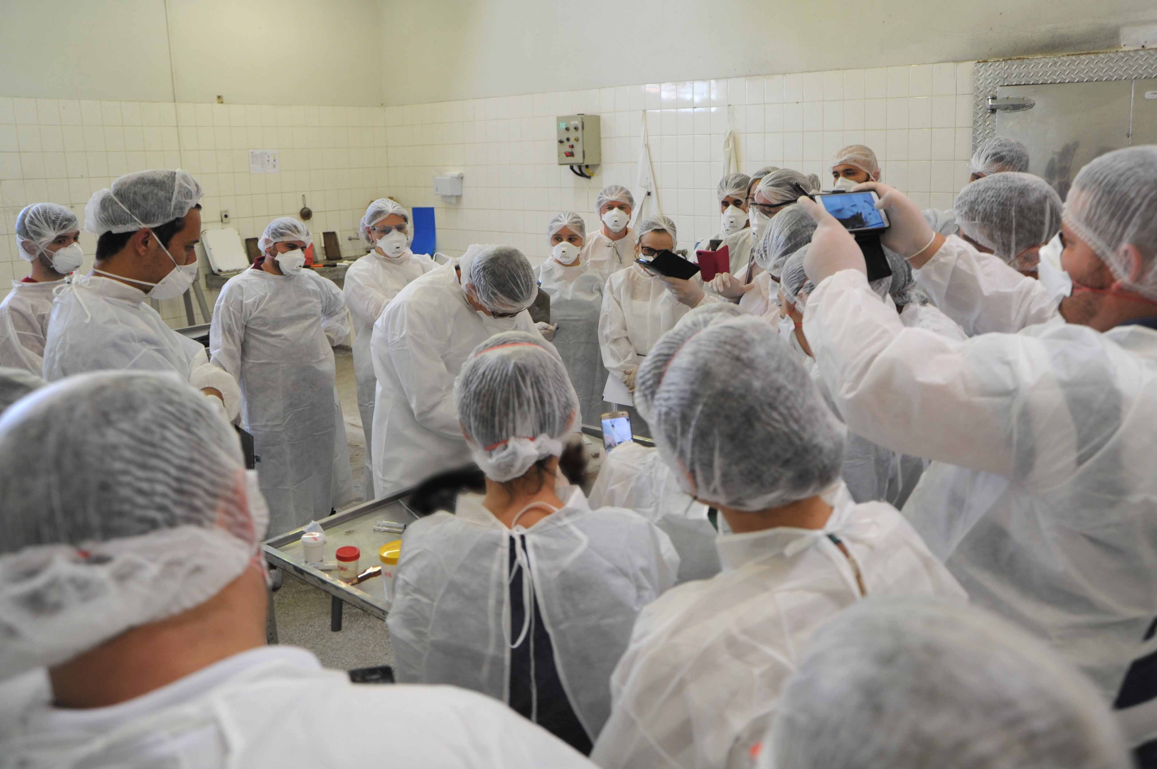 Estado capacita servidores para atuar no combate à febre amarela