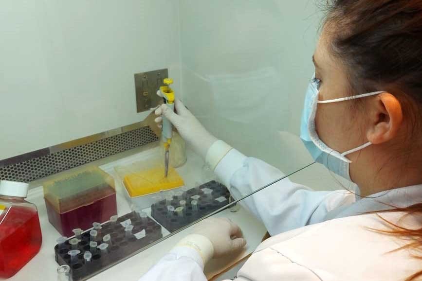 Segundo novo boletim, mais cinco pessoas se recuperaram da Covid-19