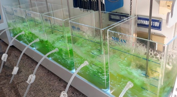 Sanepar detém patente para produzir etanol a partir do esgoto