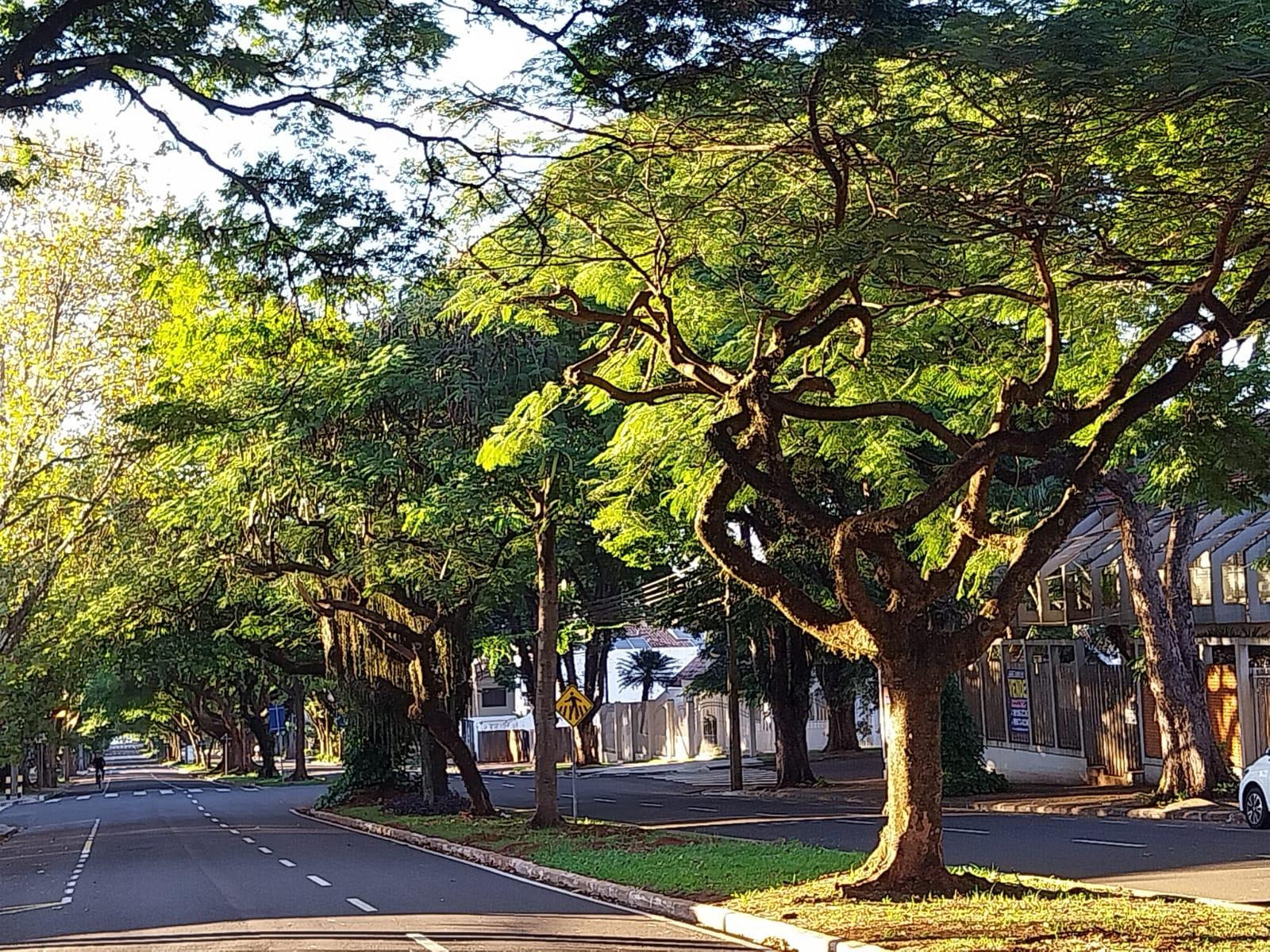 Veja como fica o tempo em Maringá nesta quinta-feira (01)