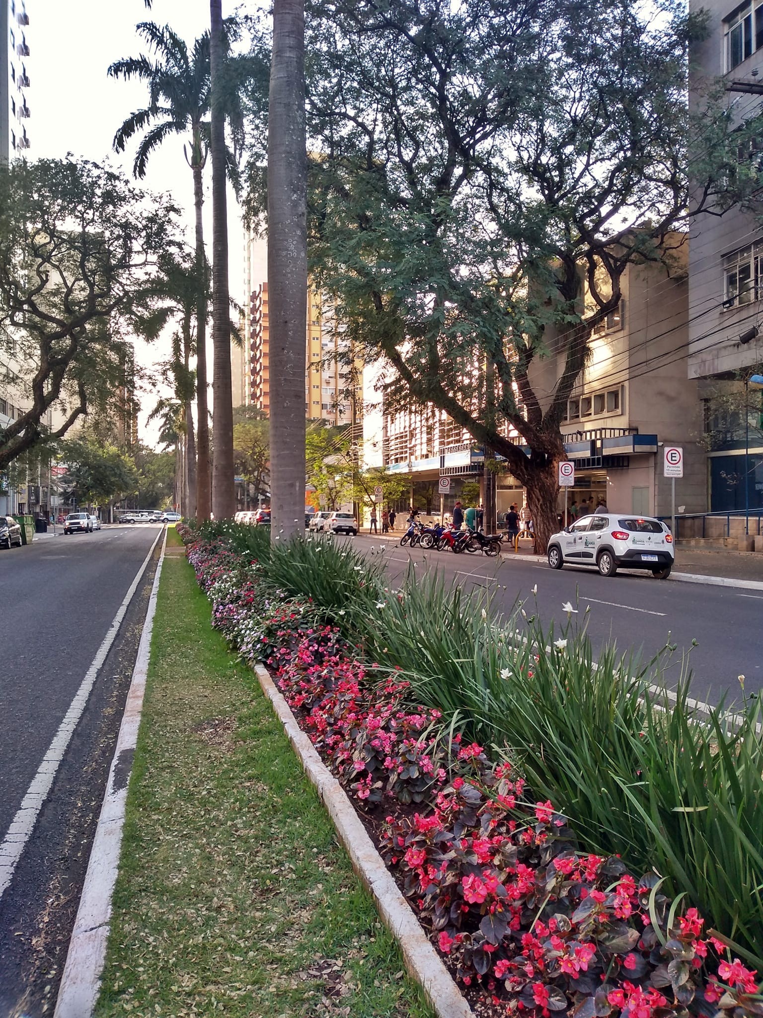 Maringá tem tempo parcialmente nublado e máxima de 24°C nesta sexta-feira (5)