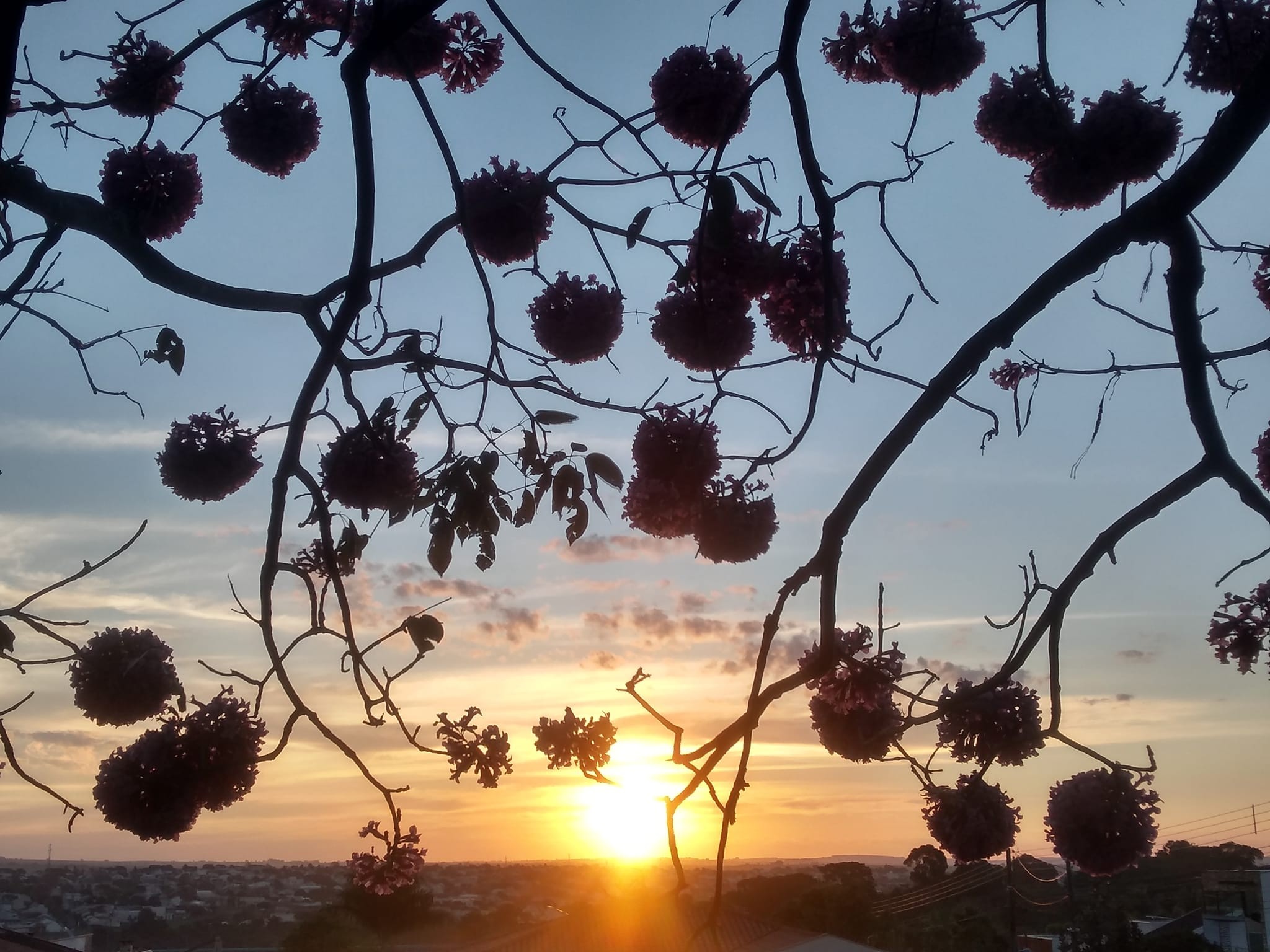 Tempo segue firme em Maringá nesta terça-feira (6)