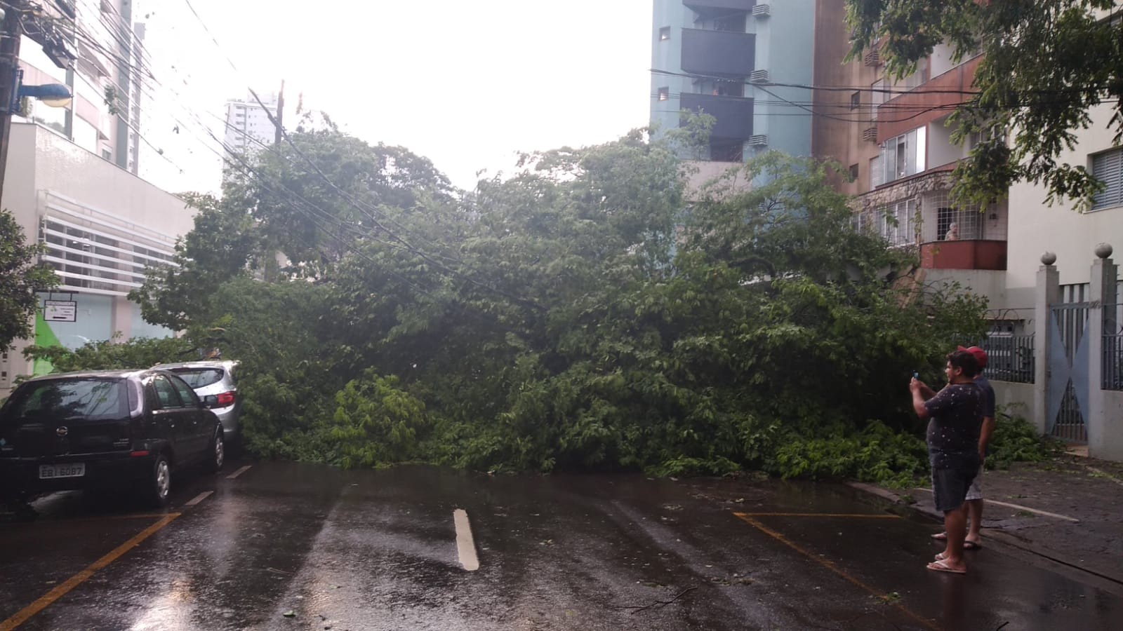 CBN Paraná repercute estragos do temporal do fim de semana