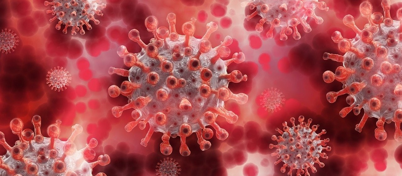 Confira o boletim da Covid-19 deste sábado (29)