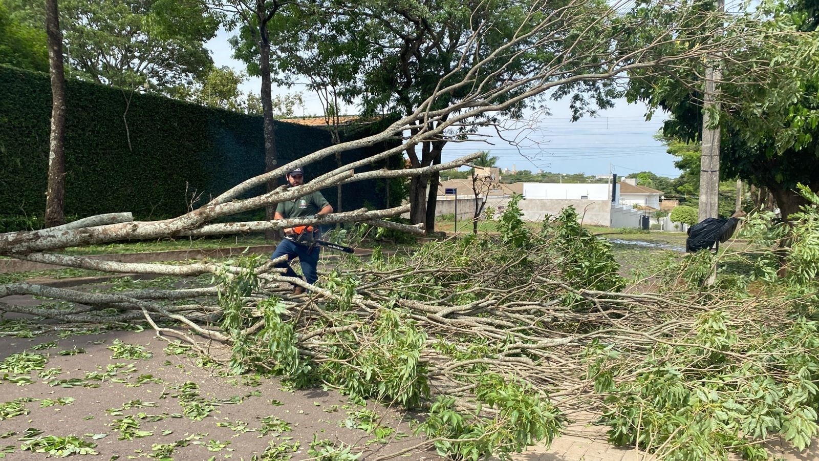 Temporal provoca estragos em Paranavaí nesta terça-feira (17)