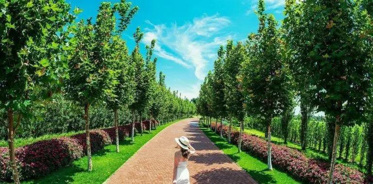 Clínica voltada a gestantes promove ação no Eurogarden