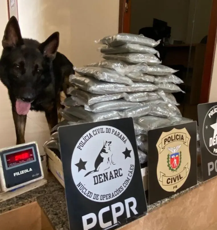 Denarc de Maringá apreende mais de 40 quilos de pólvora