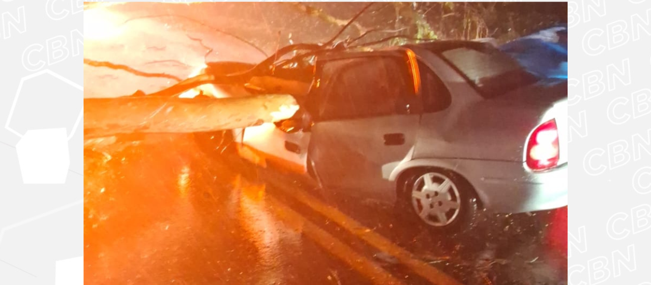 Árvore cai sobre carro em movimento na PR-323