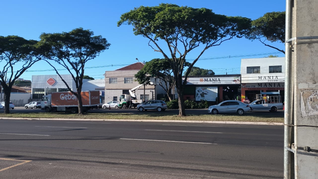 Ouvinte fica indignado com poda de árvores na Avenida Colombo