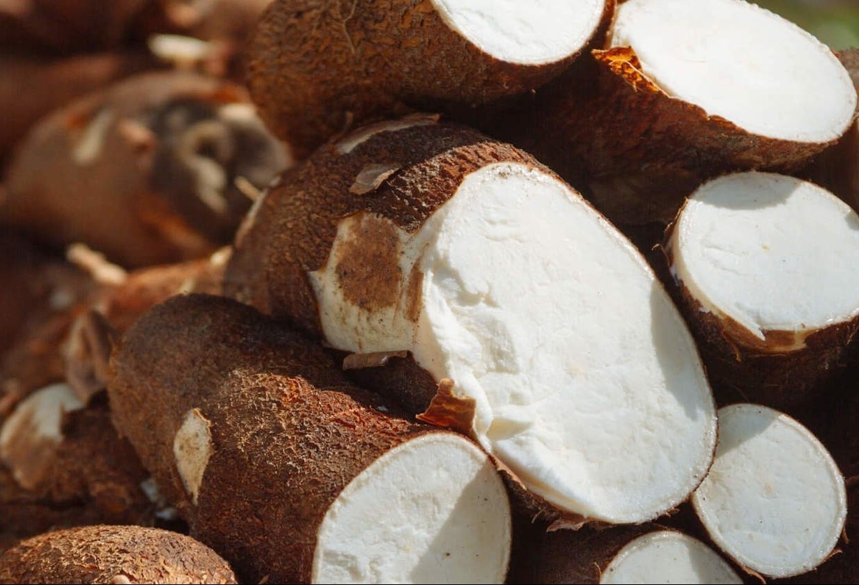 Raiz de mandioca custa R$ 490 a tonelada em Paranavaí