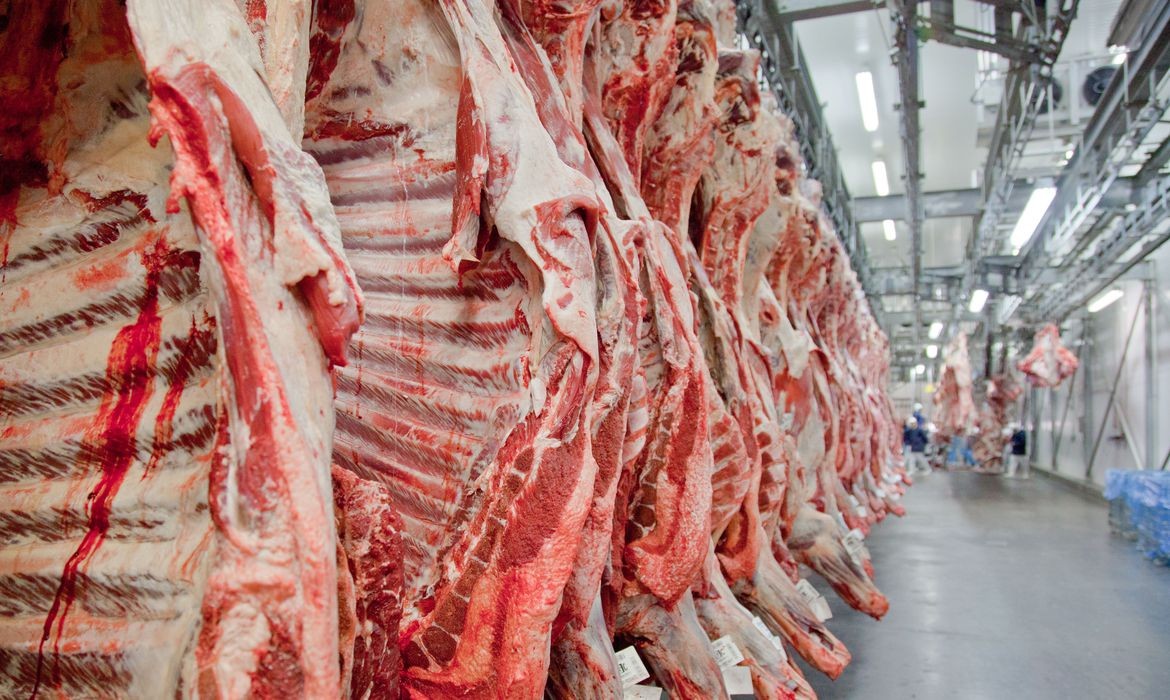 Em 2020 a oferta de carnes por habitante será mantida no Brasil