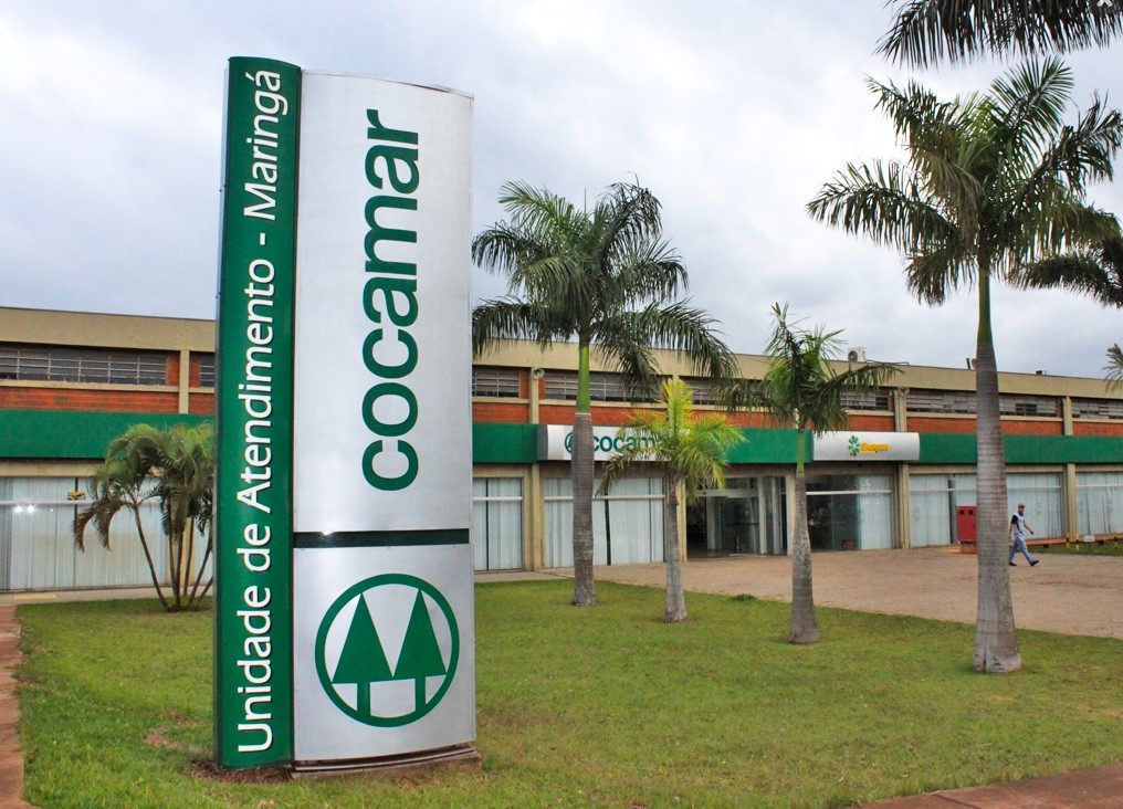 Cocamar anuncia distribuição de R$ 135,4 milhões aos cooperados