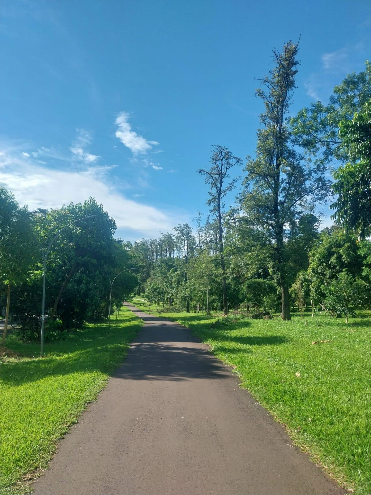 Confira a previsão do tempo para este domingo (18)