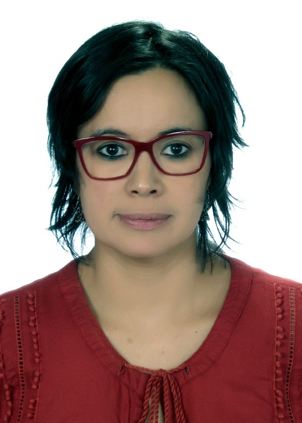 ‘Abolir a Polícia Militar e criar milícias nos bairros, armar a população’