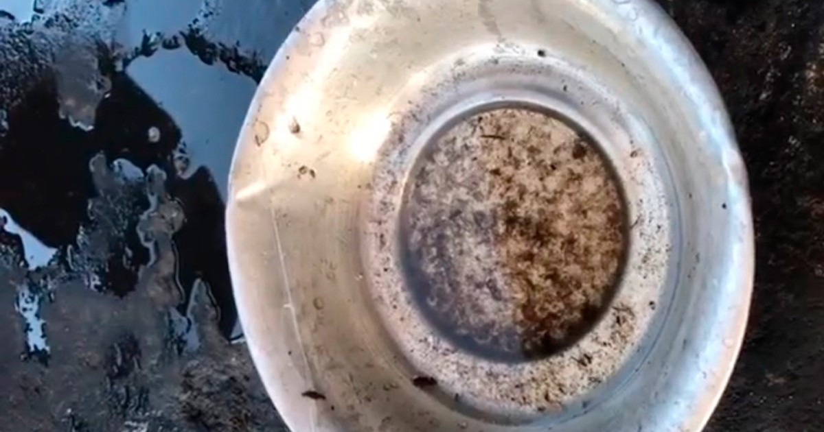 Comerciantes são detidos por não combater a dengue em Paranavaí