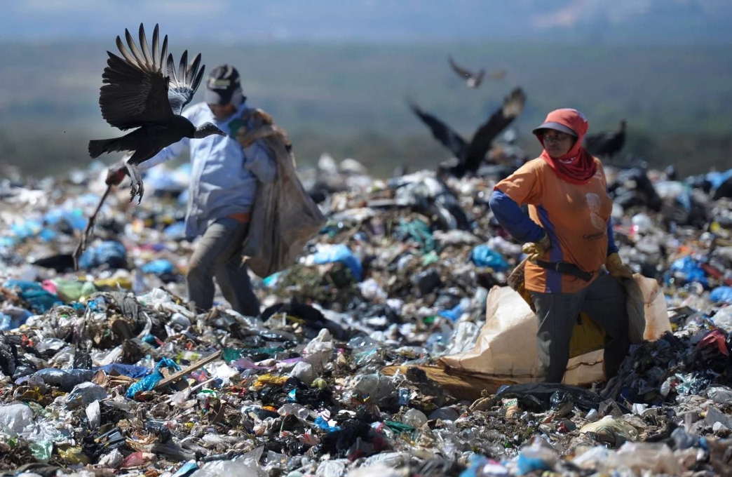 Brasil perde cerca de R$ 3 bilhões ao ano por não reciclar lixo