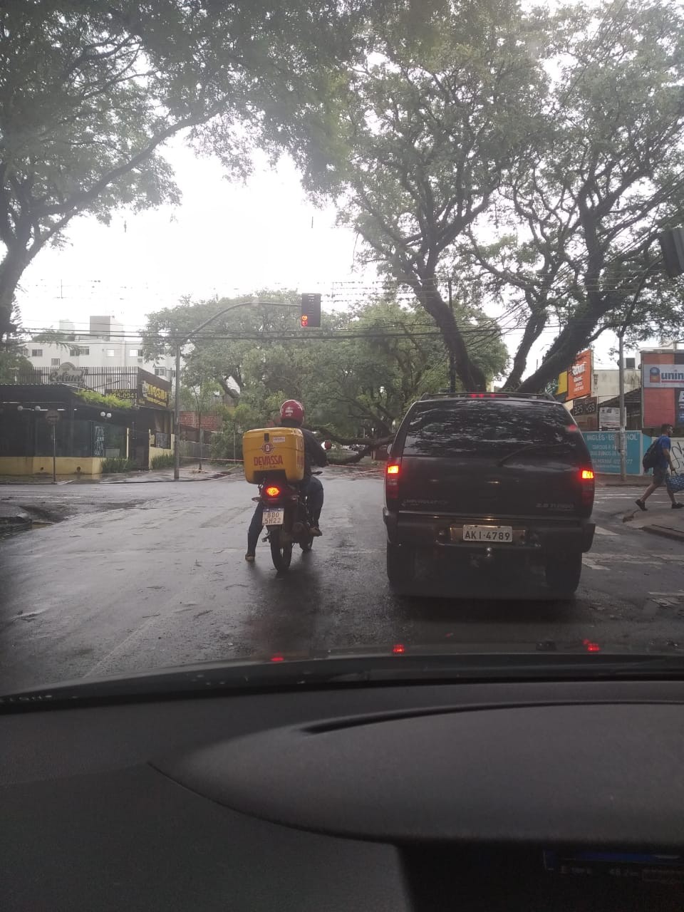 12 árvores caíram em Maringá por conta da chuva