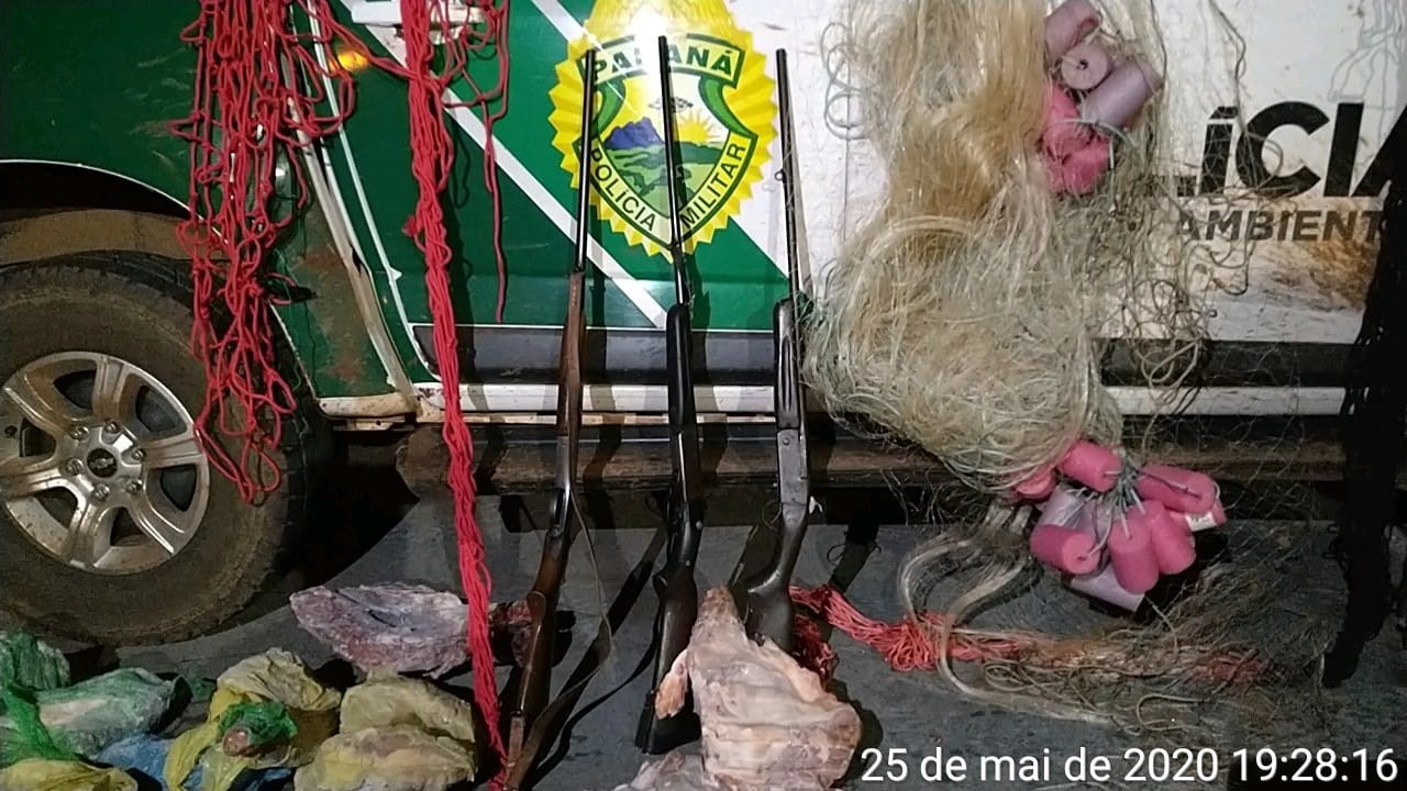 Caça ilegal: Homem é preso com espingardas e 4 capivaras mortas