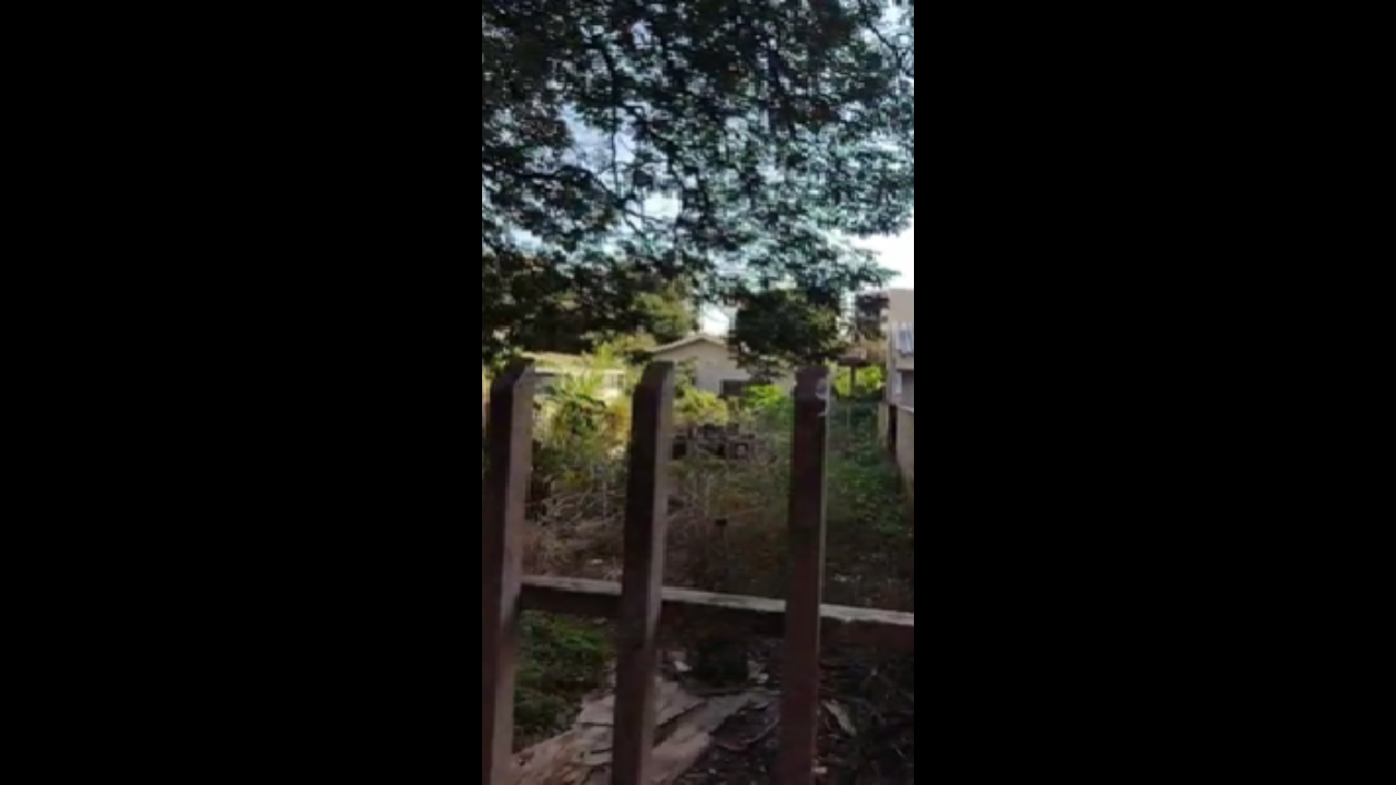 Multa para imóveis com mato e entulho pode chegar a R$ 50mil