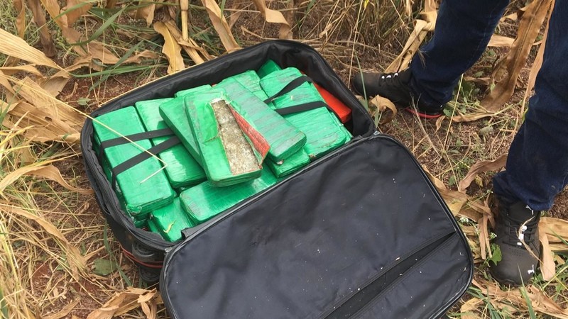 Após denúncia, Denarc apreende 29 kg de maconha em matagal em Maringá